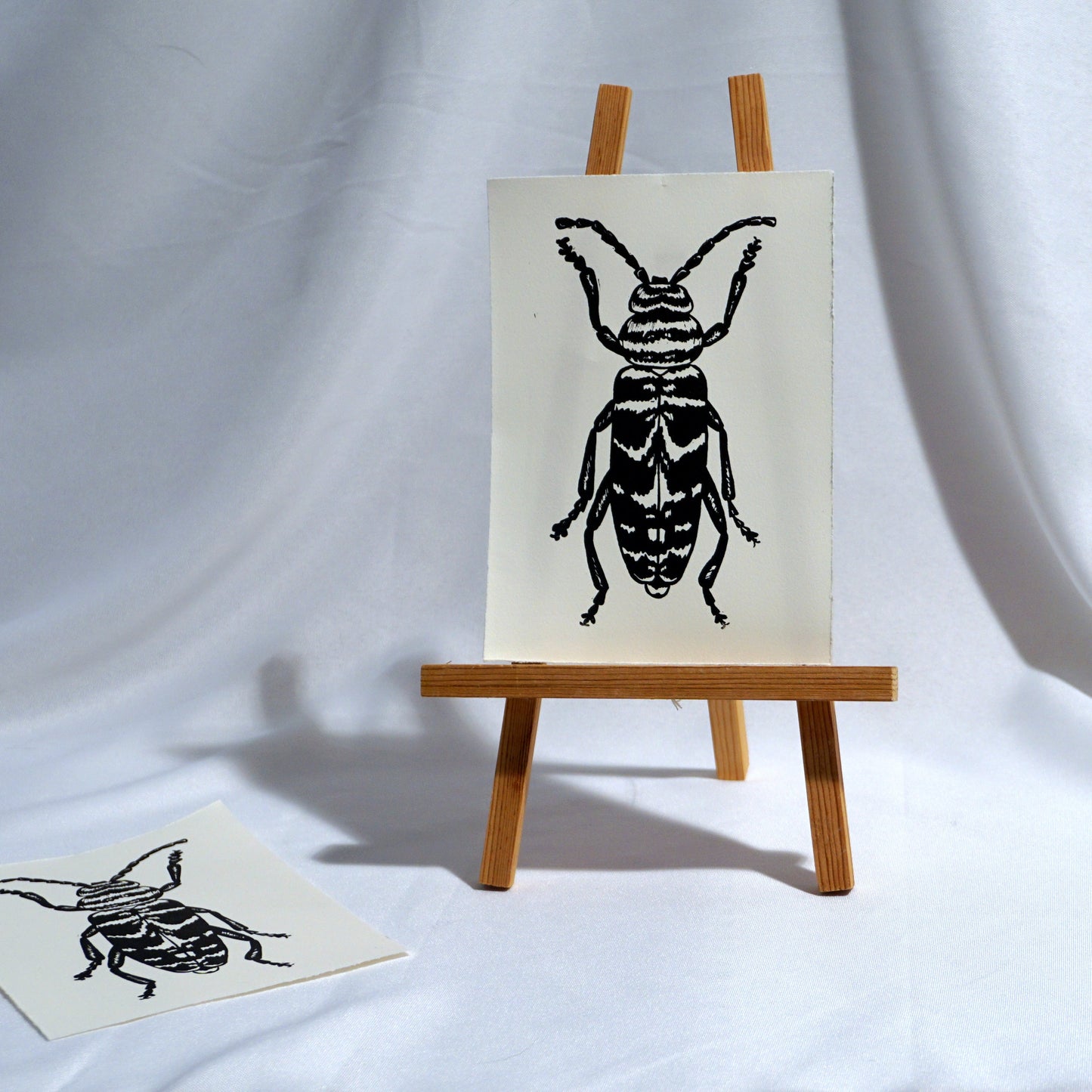 Locust Borer Print