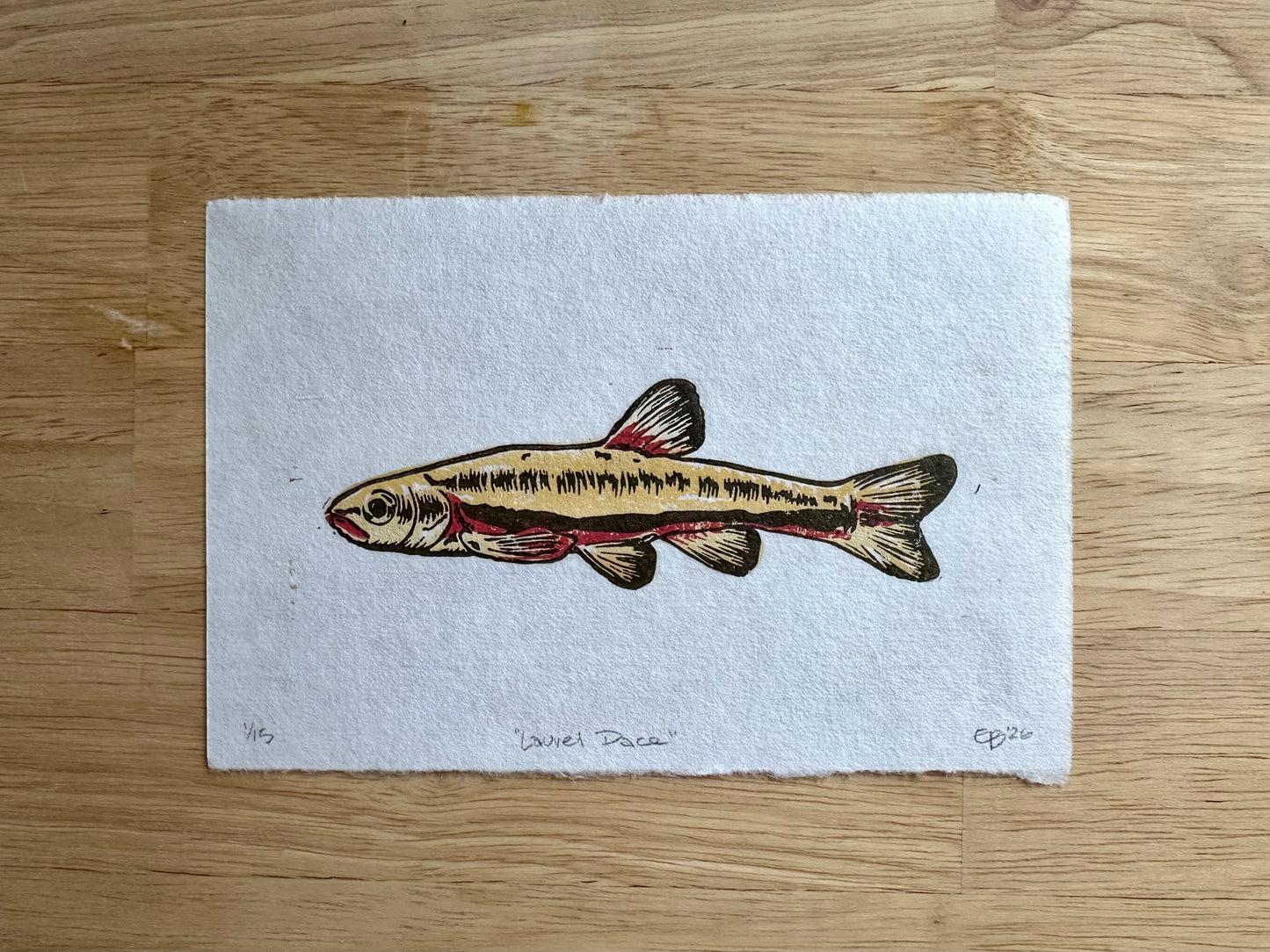 Laurel Dace Limited Edition Print