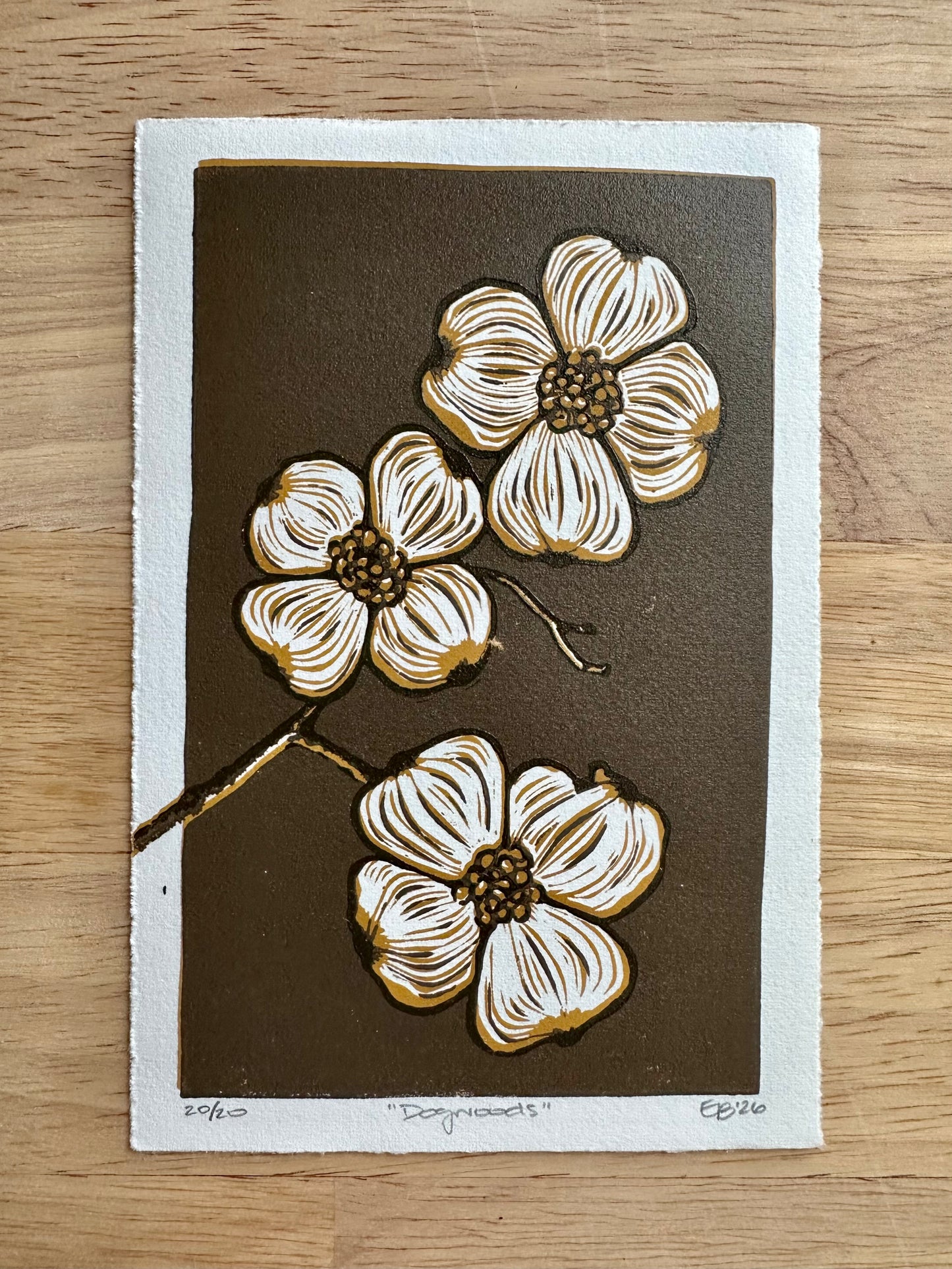 Dogwood Limited Edition Print